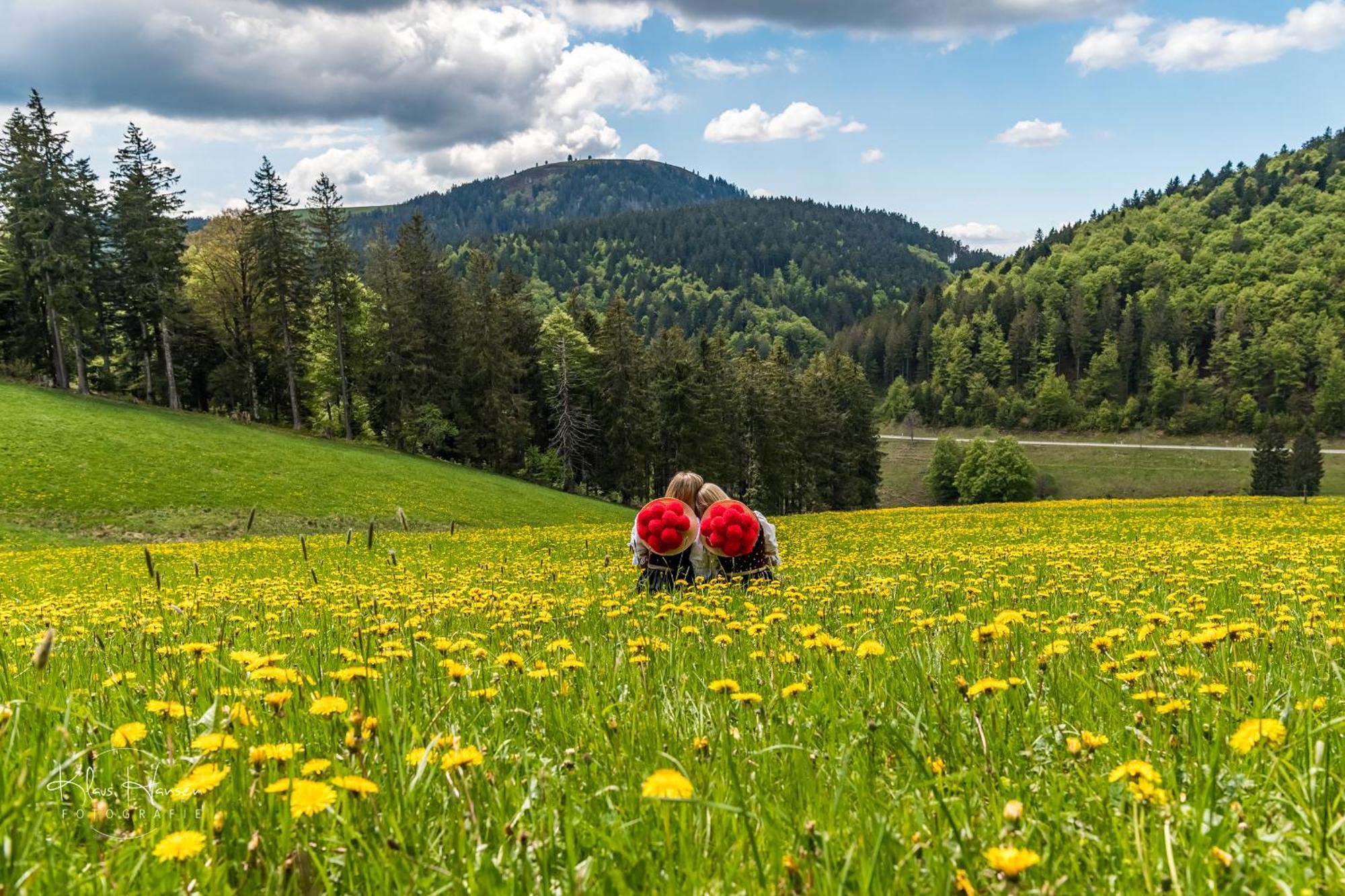 Ferienwohnung Sommerberg, Lenzkirch, 2 Schlafzimmer Exterior foto